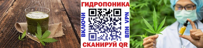 Canna-Cookies конопля  Купить закладки  Вытегра 