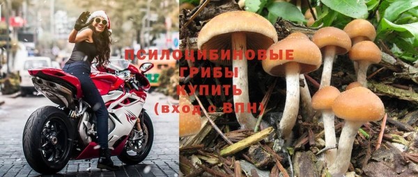 хмурый Коряжма