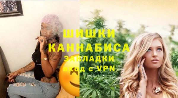 винт Костерёво