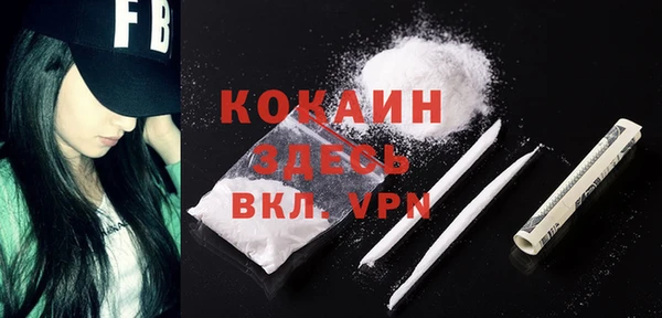 винт Костерёво