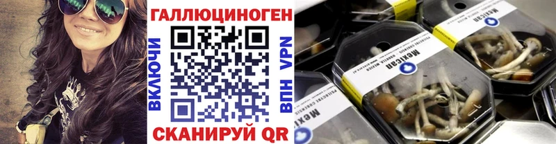 Купить Вытегра Галлюциногенные грибы прущие грибы